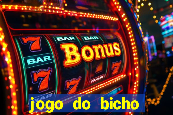 jogo do bicho crash bingo